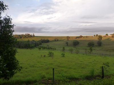 A country scene - 2 - late afternoon Nov 2018