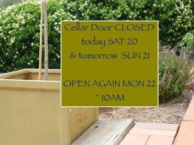 closed today olive in box, basil - winery copy