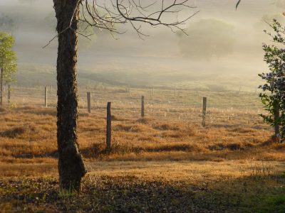 Foggy Frid Cottages 1