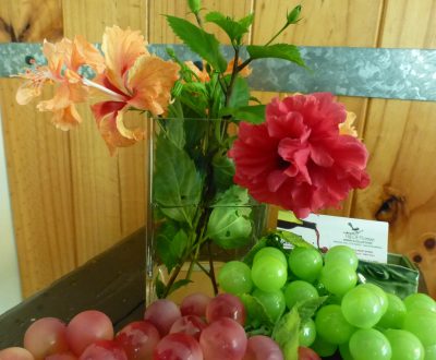 2 Hibiscus Grapes, CD -3 2 Hibiscus Grapes, CD -3